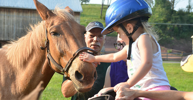 horse therapy photo