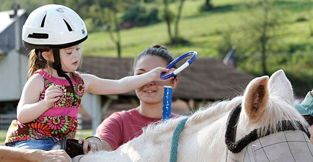 horse therapy photo