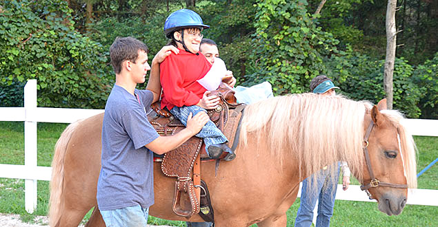 horse therapy photo