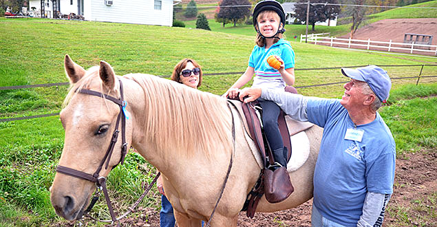 horse therapy photo