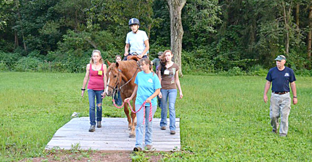 horse therapy photo