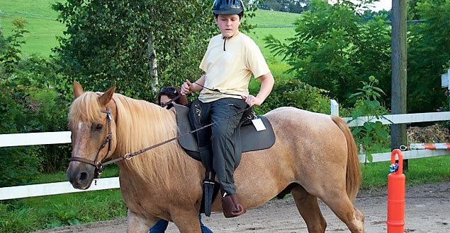horse therapy photo