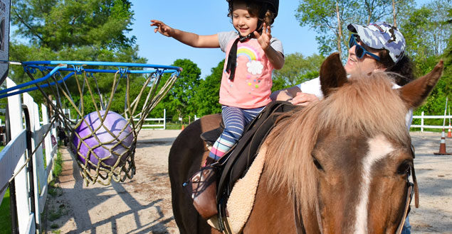 horse therapy photo