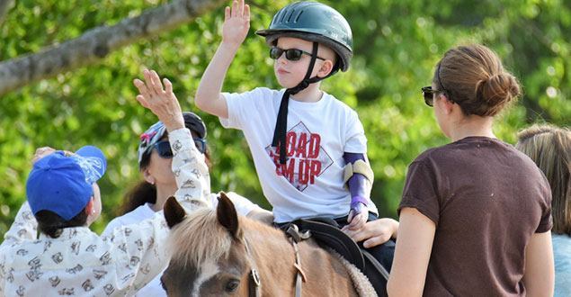 horse therapy photo