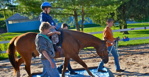 horse therapy photo